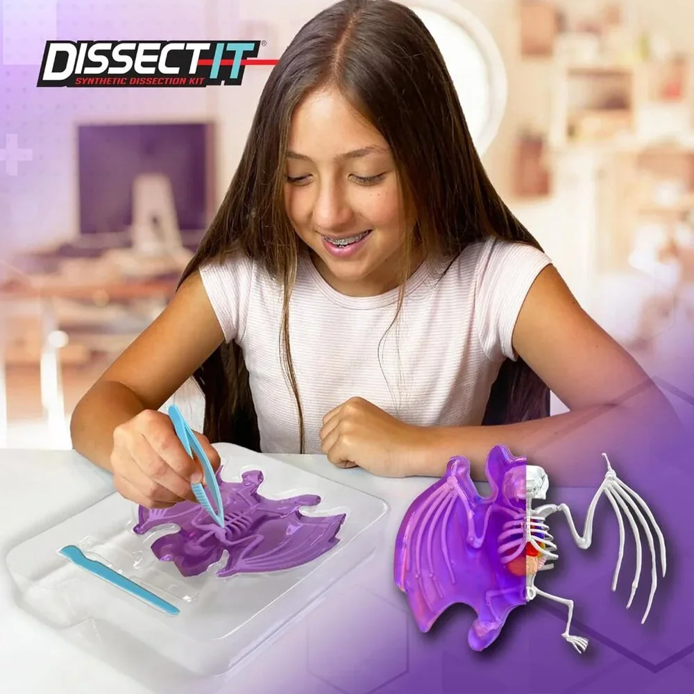 NEW Dissect-it Synthetic Lab Dissection Toy STEM KIT CRAFT Project Bat Biology A
